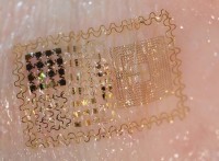 Tatuagem Eletrônica? Marca da Besta?!